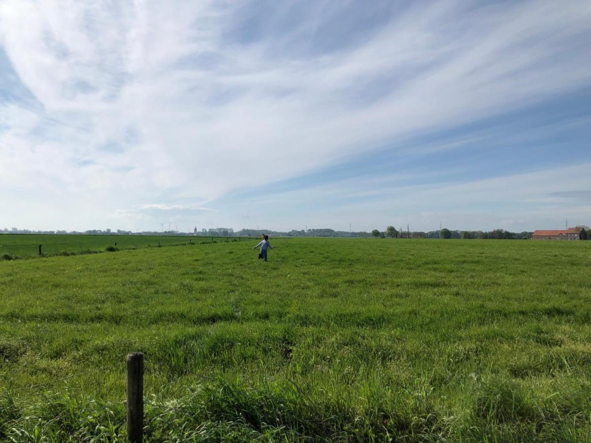 Veld En Velo Bree
